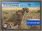 ArtToFrames 27.57x19.68 INCH / 70x50 CM Puzzle Frame for 1000 piece Puzzles.This 1.25 Inch Custom Wood Frame for Puzzles Comes with Economy Acrylic, Available in Multiple Colors
